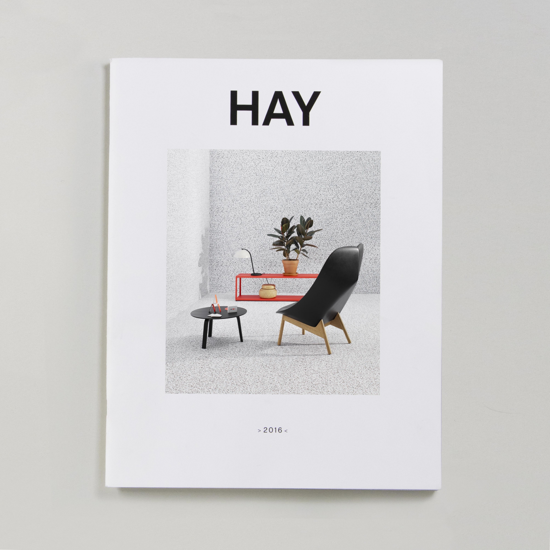  COLLECTION 2016 / HAY