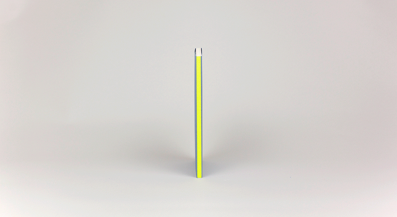  SPINE NOTEBOOKS / HAY